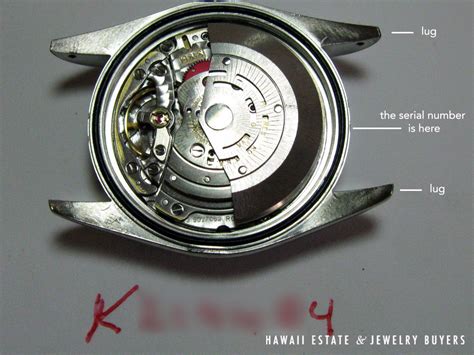 certificazione anno 2004 rolex oyster perpetual date|rolex serial number lookup.